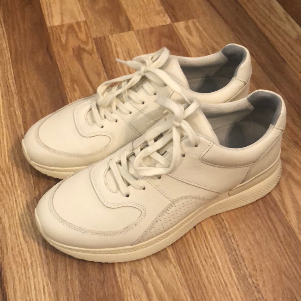 Everlane Sneaker